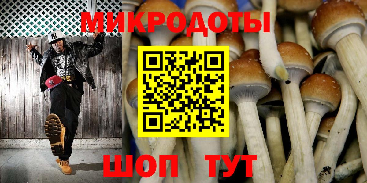 Мурманск  Галлюциногенные грибы прущие грибы  Вход с VPN 